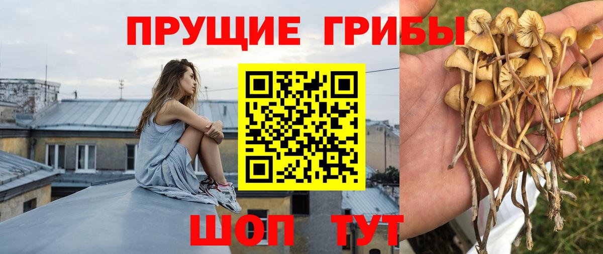 Псилоцибиновые грибы прущие грибы Борисоглебск